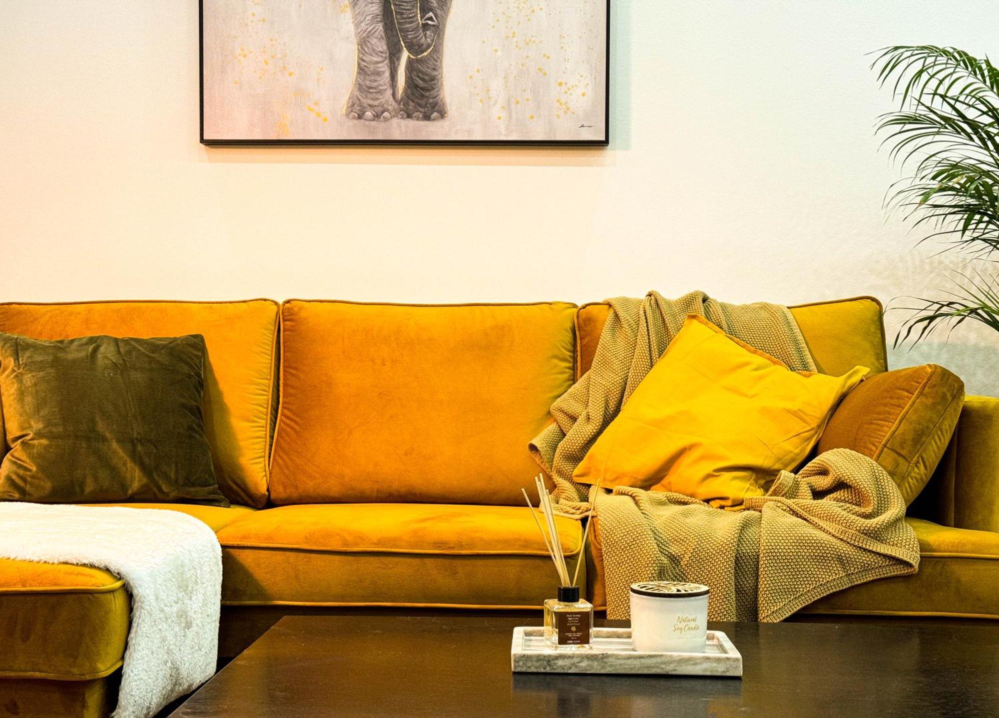 Appartamento Big Company Old Town Treasure Renovated Belgrado Esterno foto